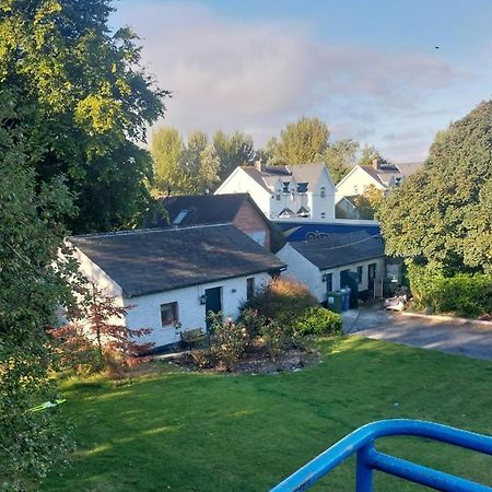 Cosy 2 Bed Cottage Next To Fota Wildlife Park Cork Exteriör bild