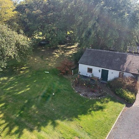 Cosy 2 Bed Cottage Next To Fota Wildlife Park Cork Exteriör bild